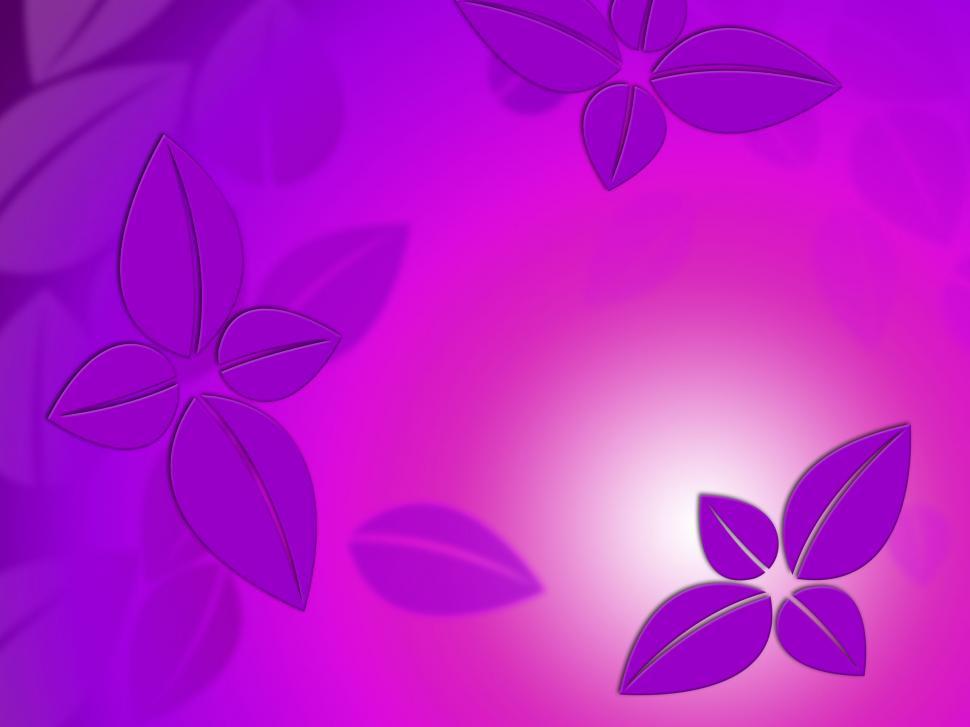 Free Image of Fine Leaves Background Means Delicate Nature Or Autumn Season  