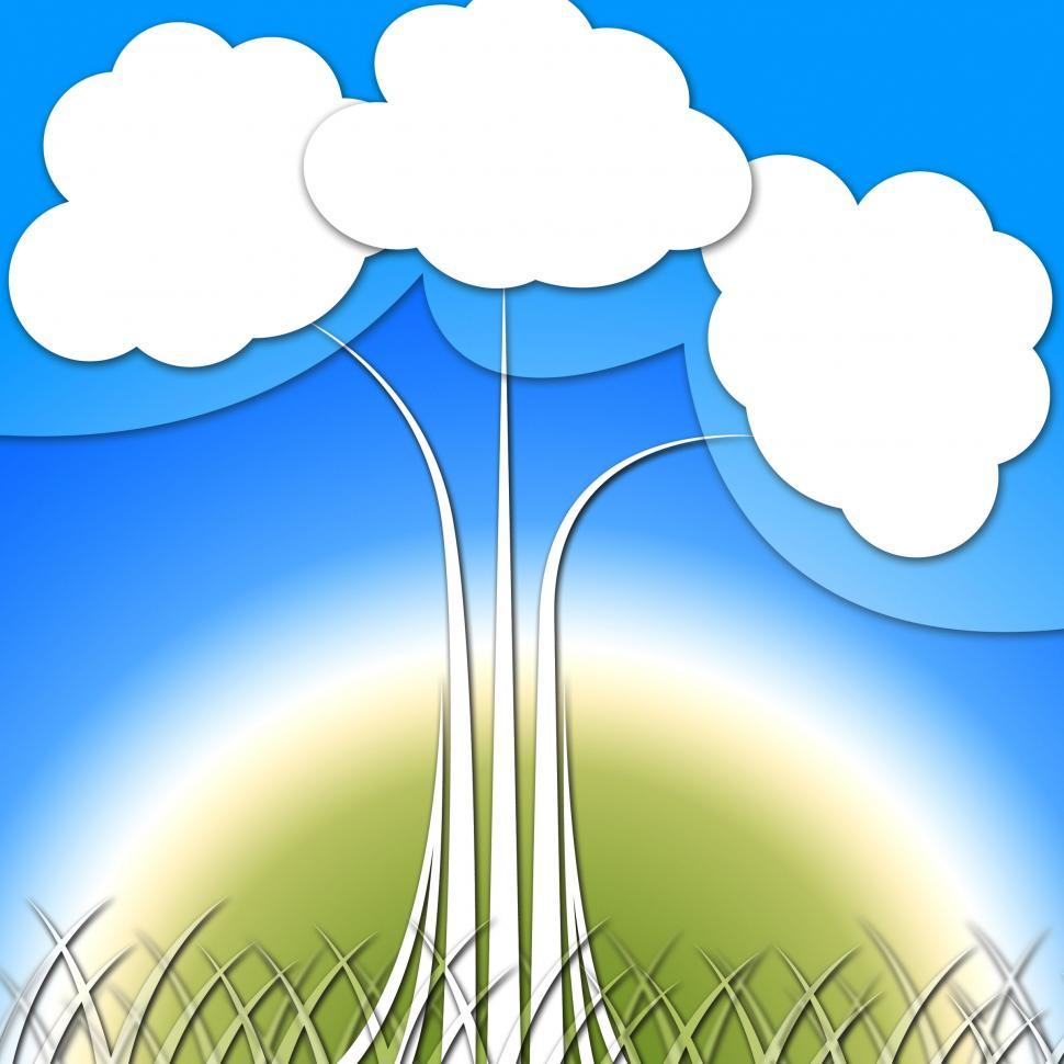 Free Image of Tree Background Means Branches Growth And Natural World  