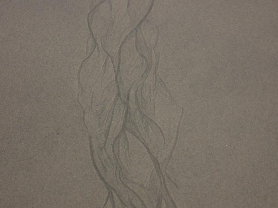 Free Image of Sand patterns 2 