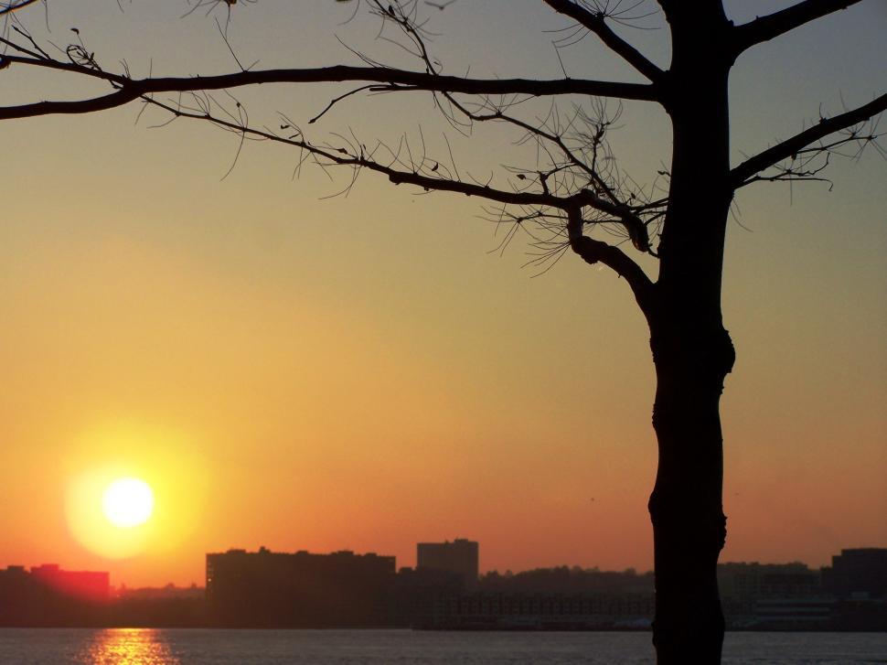 Free Image of Urban Horizon 