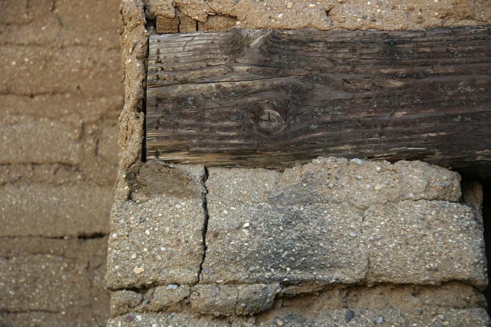 Free Image of Bird Perched on Brick Wall 