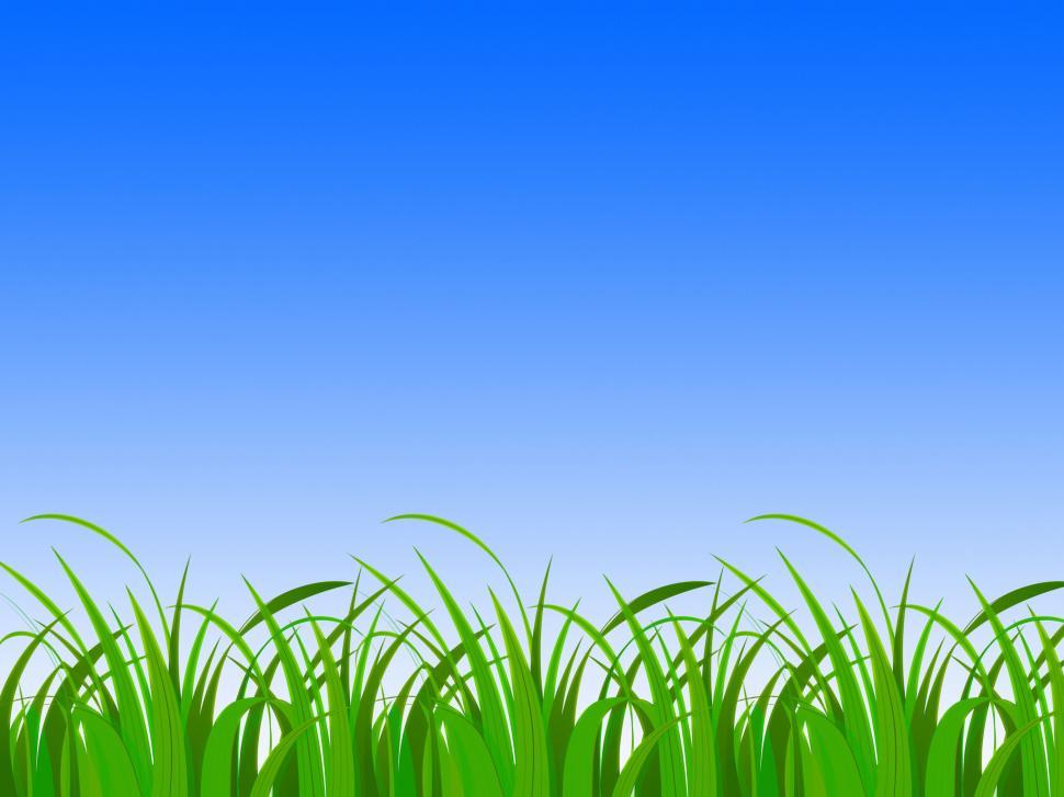 Free Image of Horizon Background Means Vibrant Nature Or Environment  