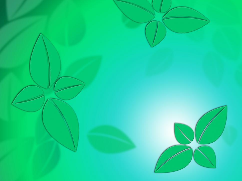 Free Image of Fine Leaves Background Shows Natural Fall Beauty Or Decoration  