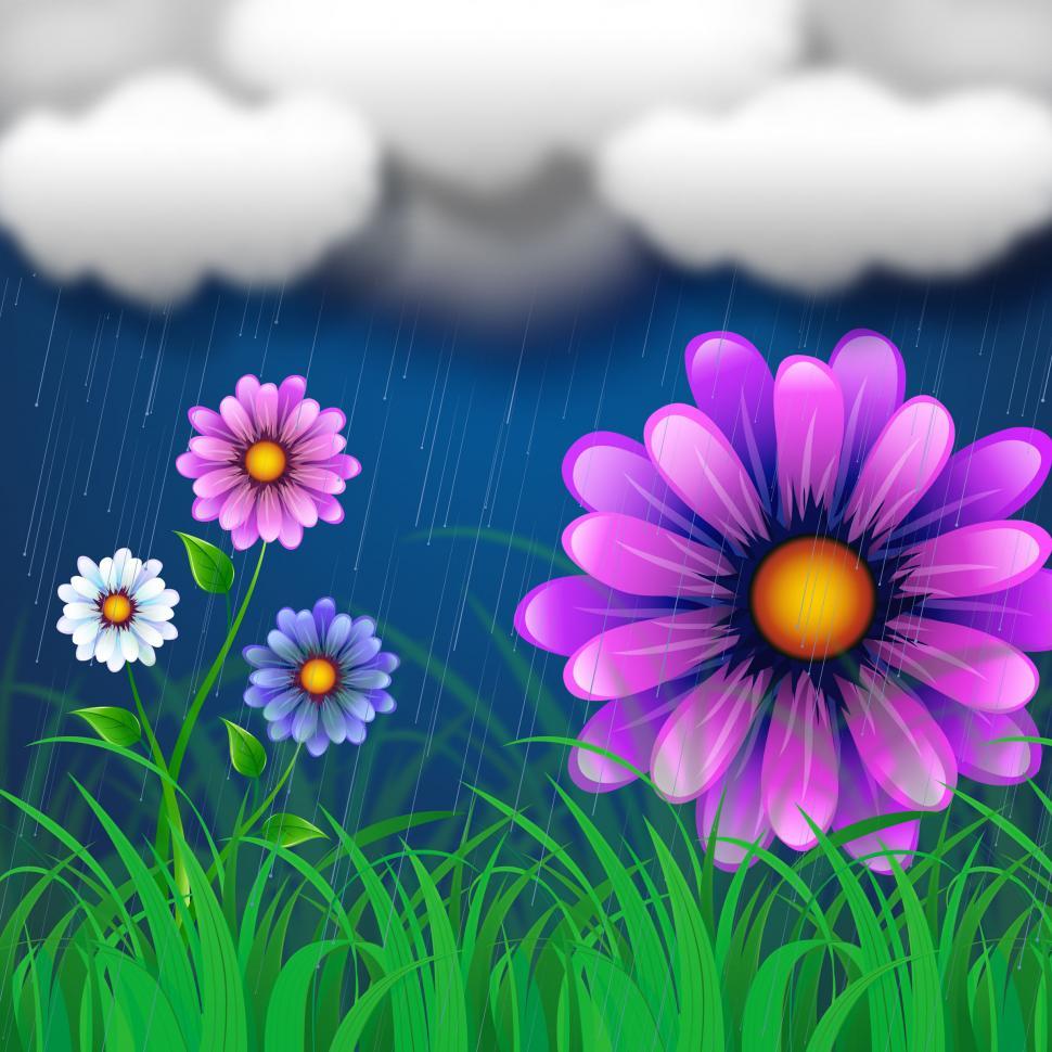 Free Image of Flowers Background Indicates Clothes Line And Abstract 