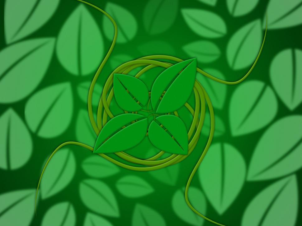 Free Image of Leaves Floral Shows Bloom Florals And Environmental 