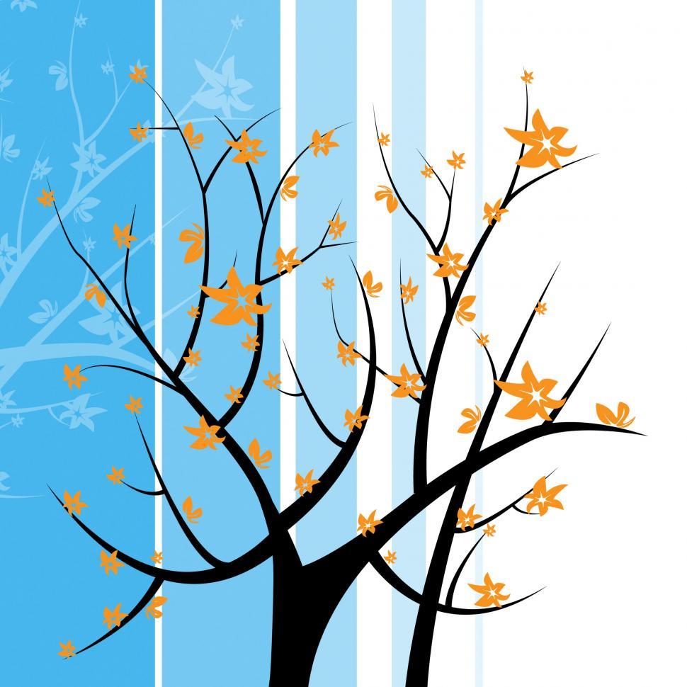 Free Image of Tree Nature Indicates Light Burst And Blazing 