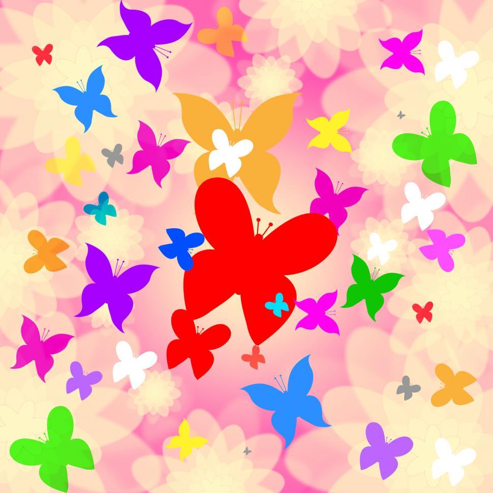 Free Image of Butterflies Summer Shows Animal Heat And Summertime 