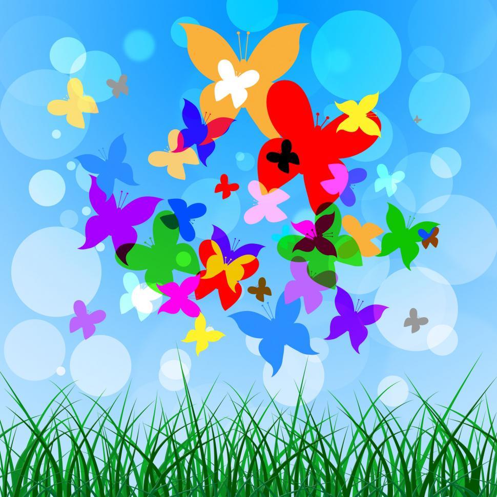 Free Image of Background Butterflies Represents Summer Time And Creature 