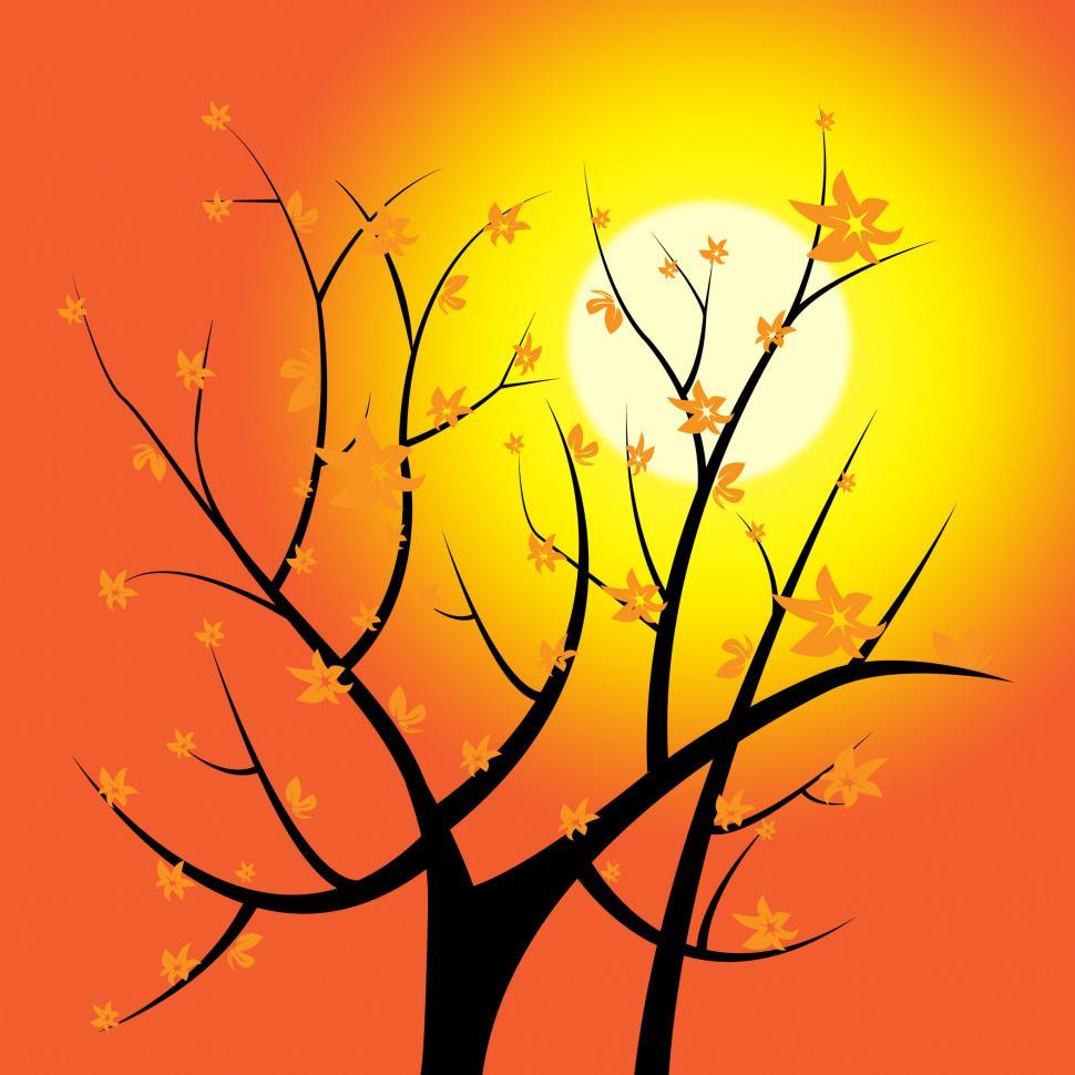 Free Image of Glow Tree Shows Light Burst And Blazing 