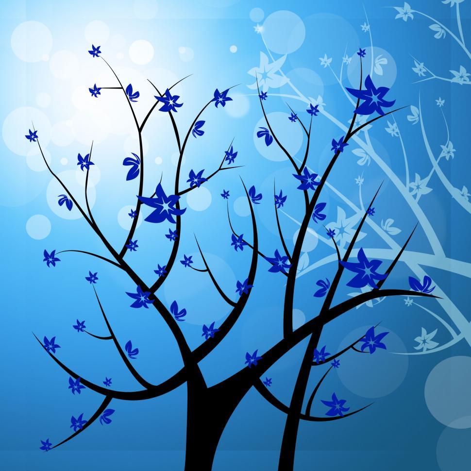 Free Image of Nature Tree Represents Light Burst And Blazing 
