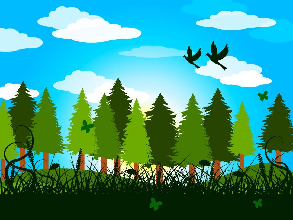 Free Image of Spring Trees Represents Treetops Forestation And Countryside 