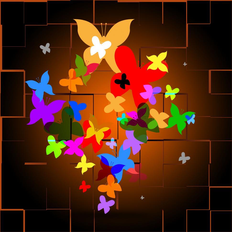 Free Image of Butterflies Summer Represents Hot Season And Animals 