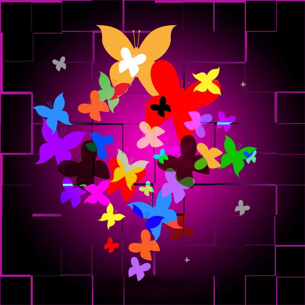 Free Image of Summer Butterflies Indicates Animals Butterfly And Creature 
