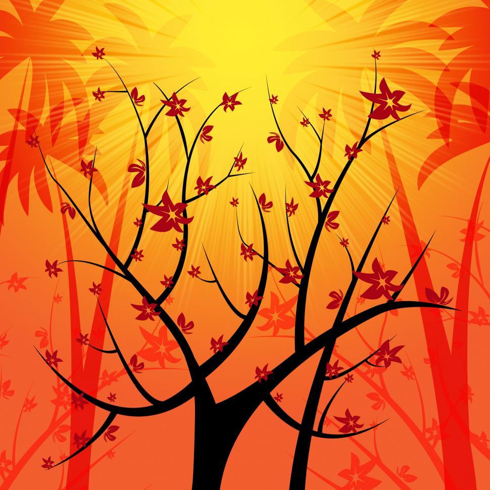 Free Image of Glow Nature Shows Light Burst And Branch 