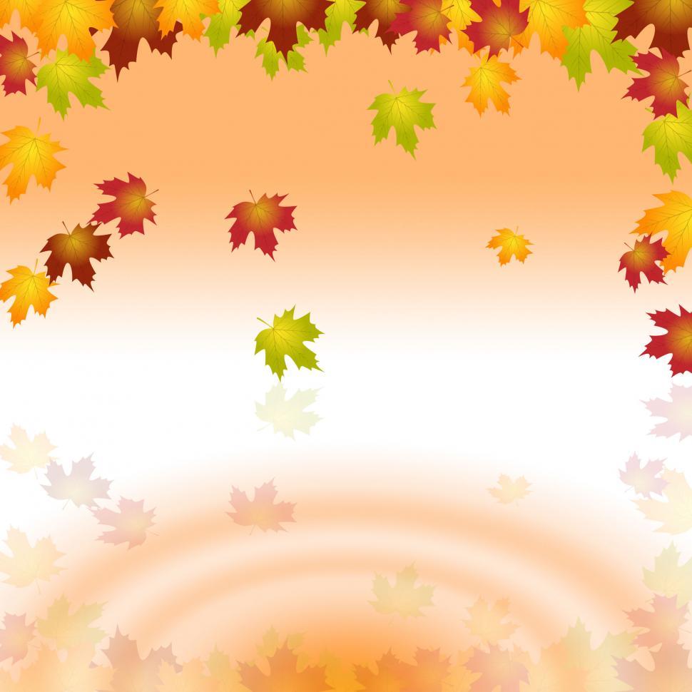 Free Image of Copyspace Water Shows Nature Garden And Outdoor 