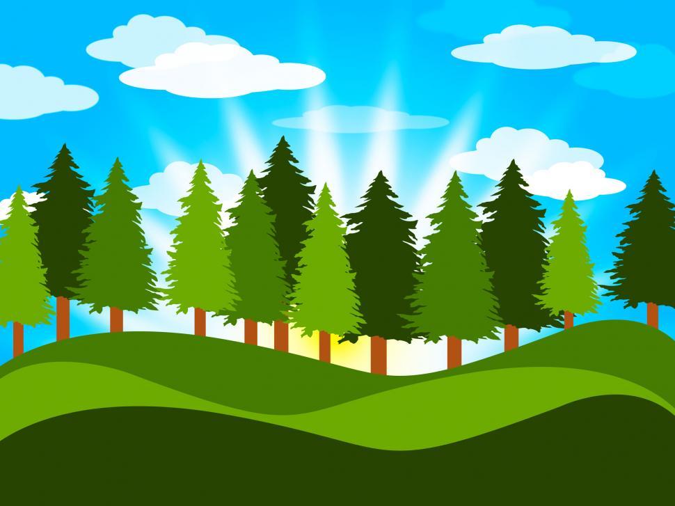 Free Image of Spring Countryside Means Tree Trunks And Meadows 