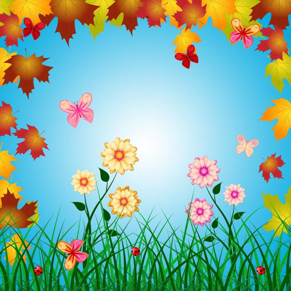 Free Image of Butterflies Copyspace Shows Creature Floral And Florals 