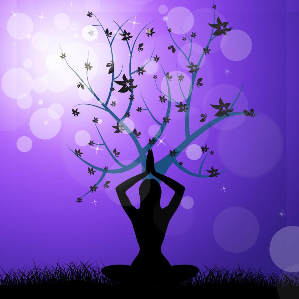 Free Image of Tree Yoga Means Peaceful Feel And Trunk 