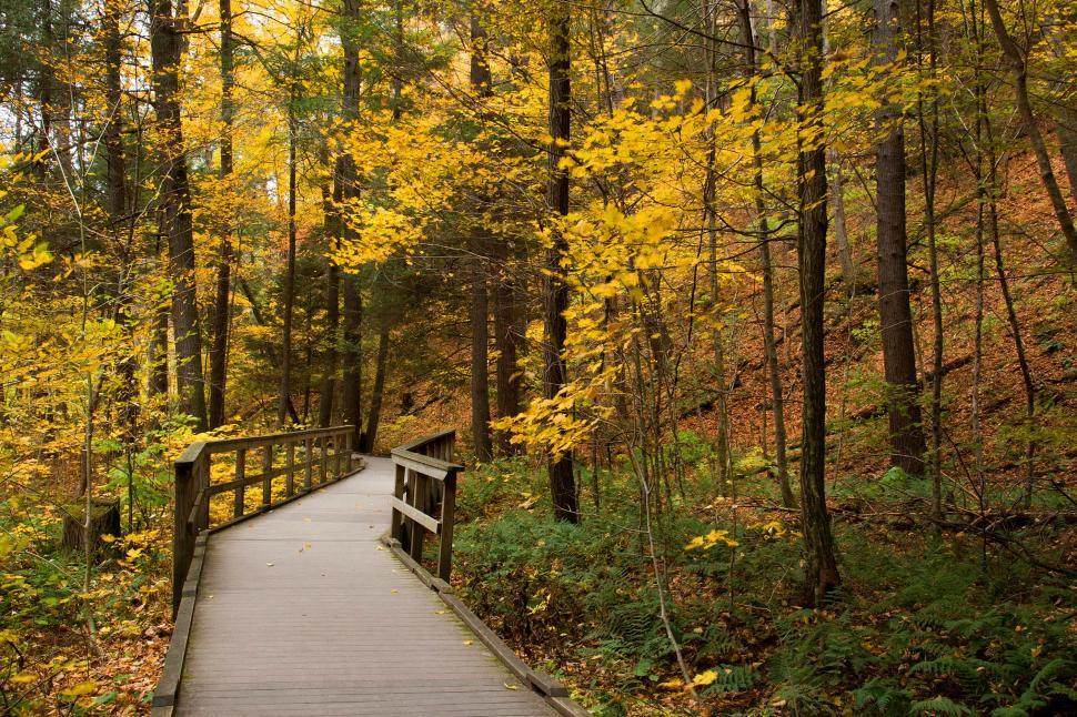 Free Image of Wooden Walkway at Dingman s Ferry Falls PA 