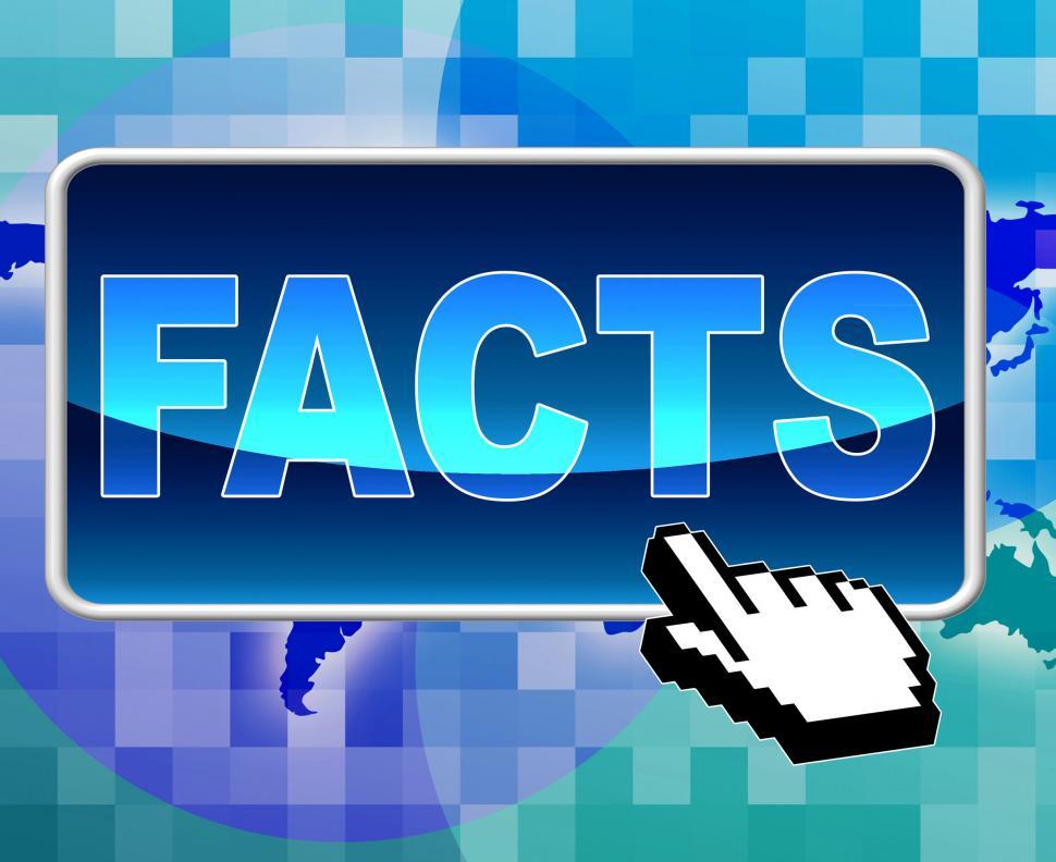 Free Image of Facts Button Shows World Wide Web And Answers 
