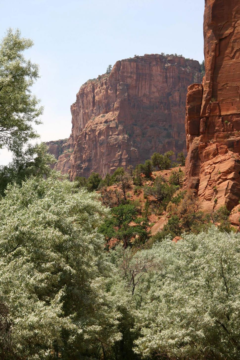 Free Image of Large Rock Formation Amidst Forest 