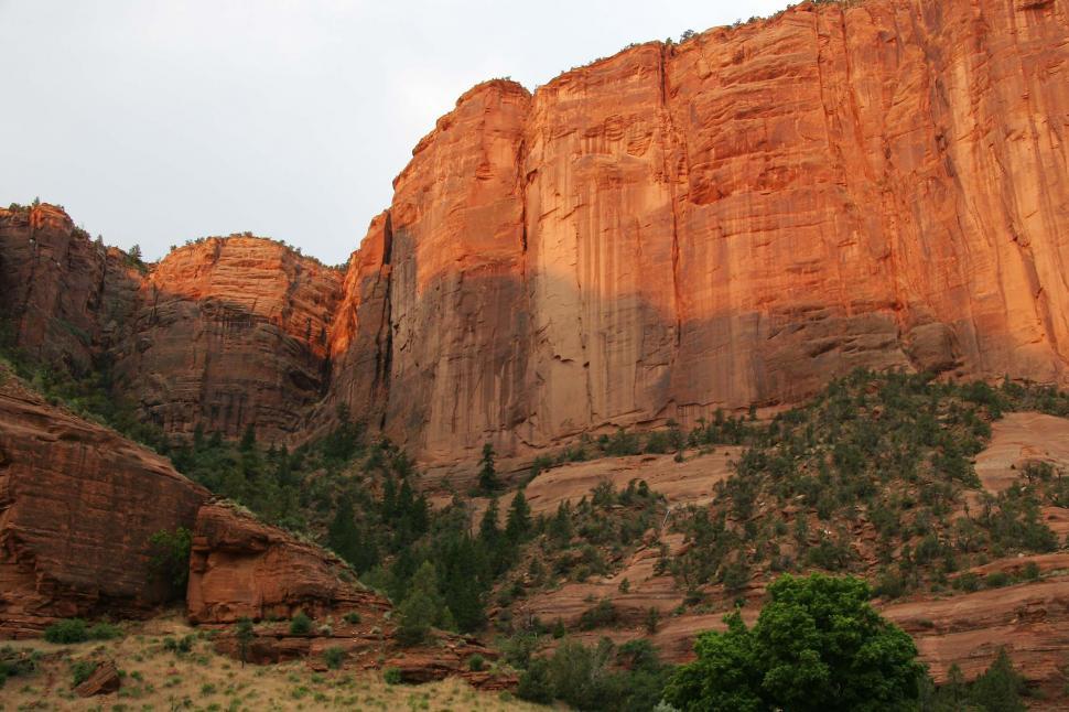 Free Image of Towering Mountain Behind Trees 