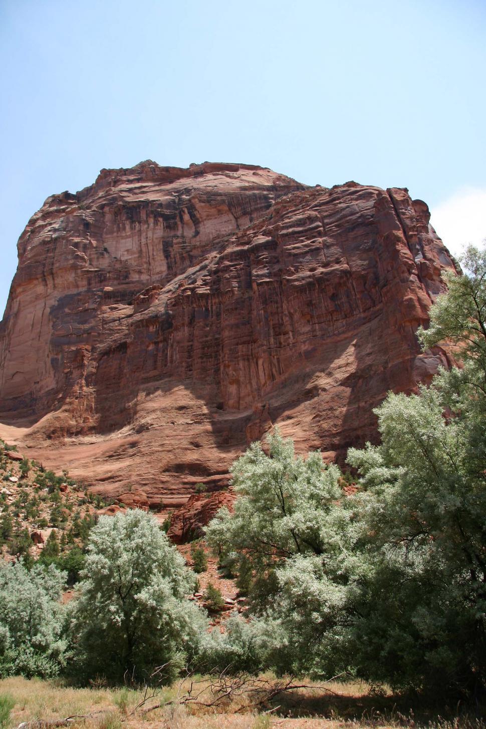 Free Image of Majestic Mountain Peaks and Trees 