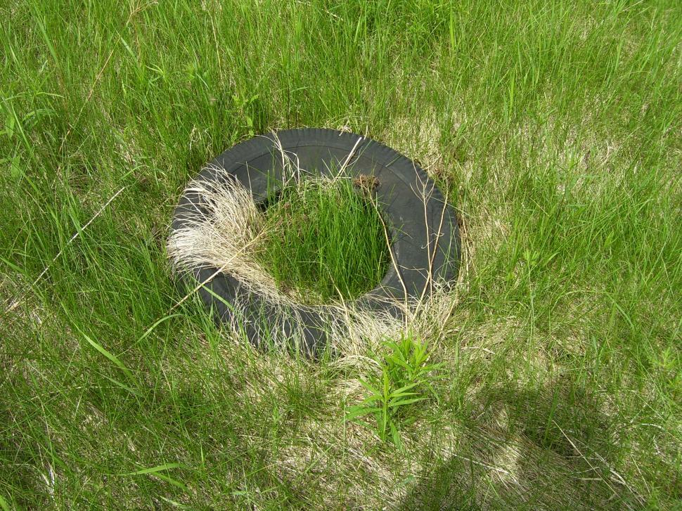 Free Image of Old tire 