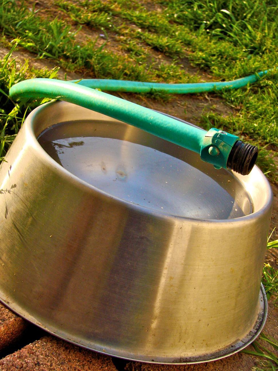 Free Image of Dogs Bowl 