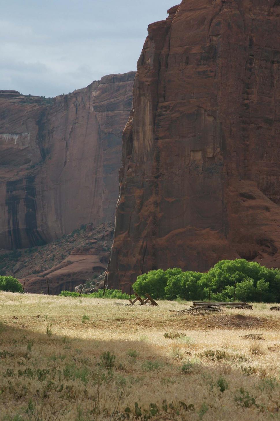 Free Image of Giraffe Standing in Desert 