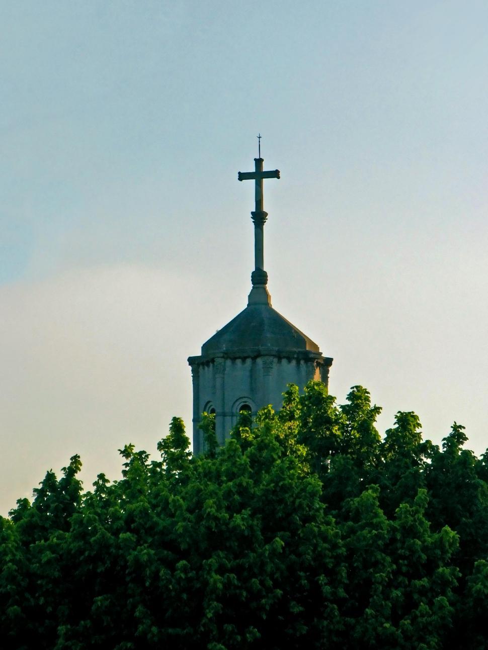 Free Image of Skopula 