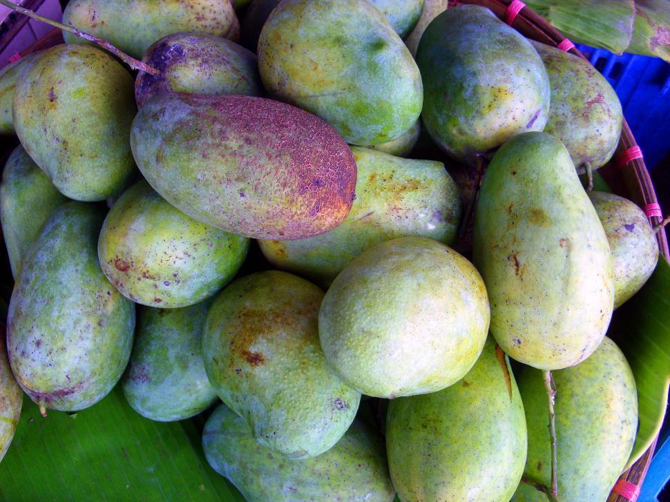 Free Image of Mangoes 