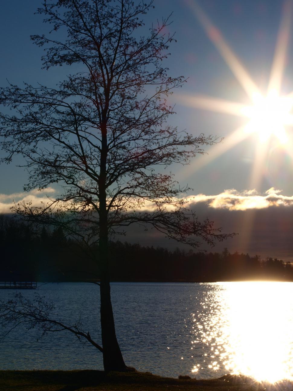 Free Image of Park with sun rays 