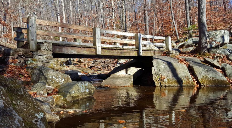 Free Image of Wooden Bridge Reflection in a Pond at Hacklebarney State Park 