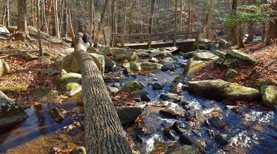 Free Image of Wooden Bridge Crossing Brook with Boulders and Fallen Tree at Ha 