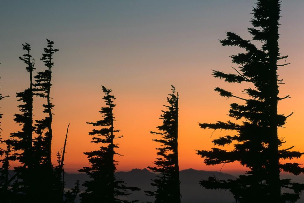Free Image of Sunset 