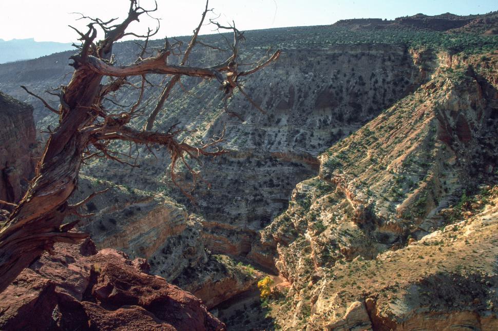 Free Image of Capitol Reef National Park Canyon 