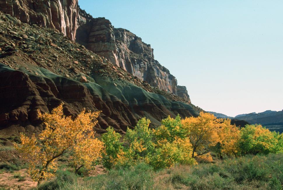 Free Image of Lush Capitol Reef National Park 