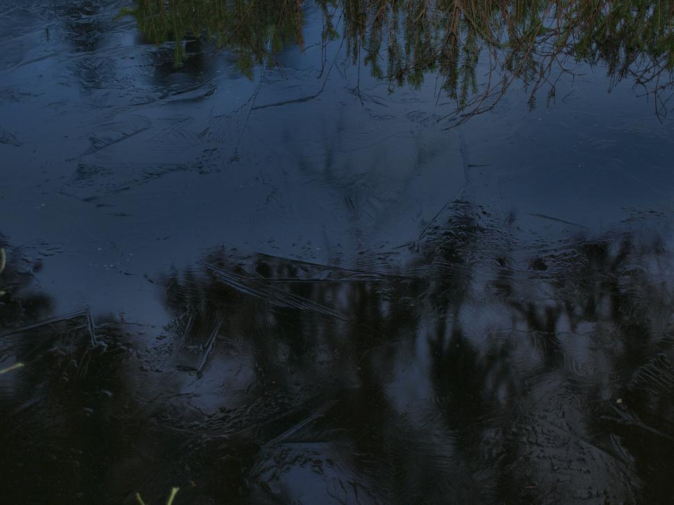 Free Image of Frozen pond iced over 