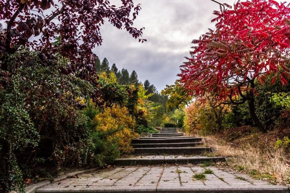 Free Image of Steps Leading Through Grass Field 