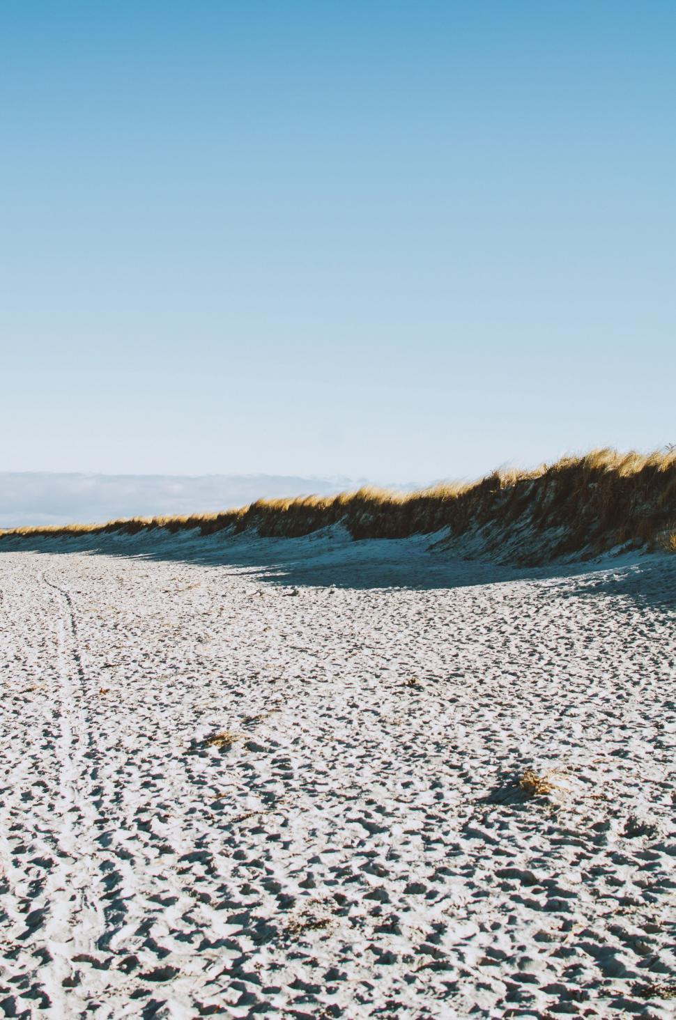 Free Image of Sandy Beach With Footprints 