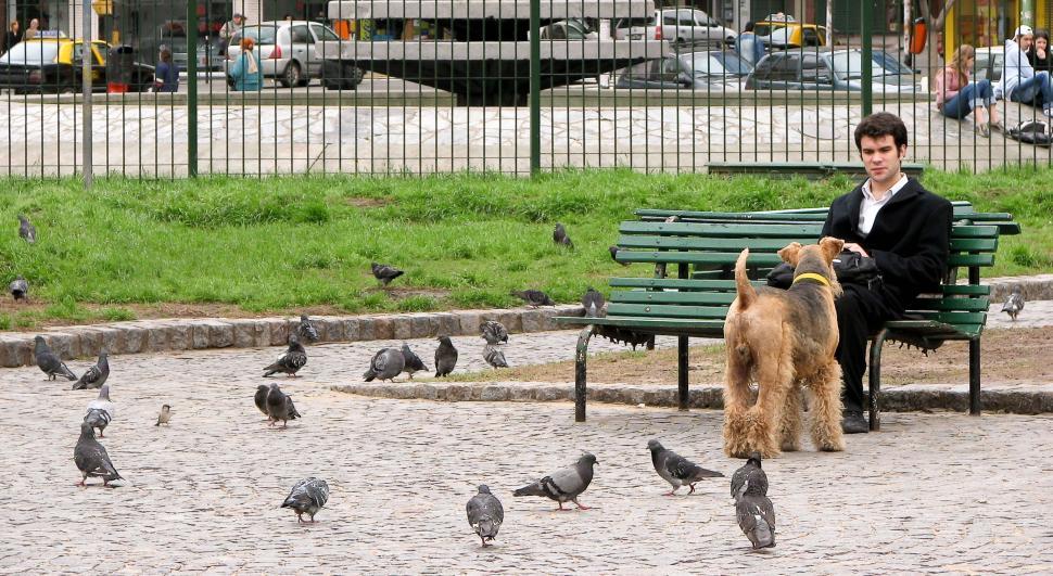 Free Image of Dog and man 