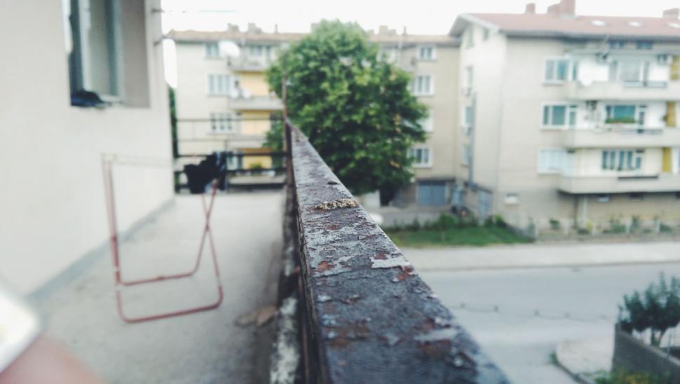 Free Image of Black Cat Sitting on Ledge of Building 