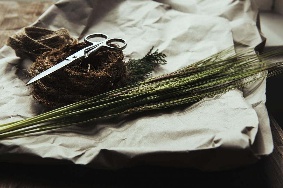 Free Image of Scissors Resting on Top of Paper 