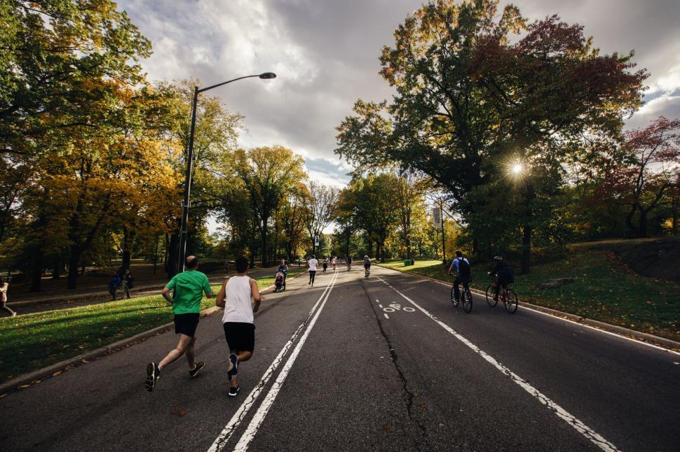 Free Image of Group of People Riding Skateboards Down a Street 