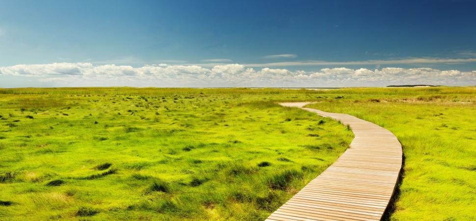 Free Image of Wooden Walkway in Grass Field Under Blue Sky 