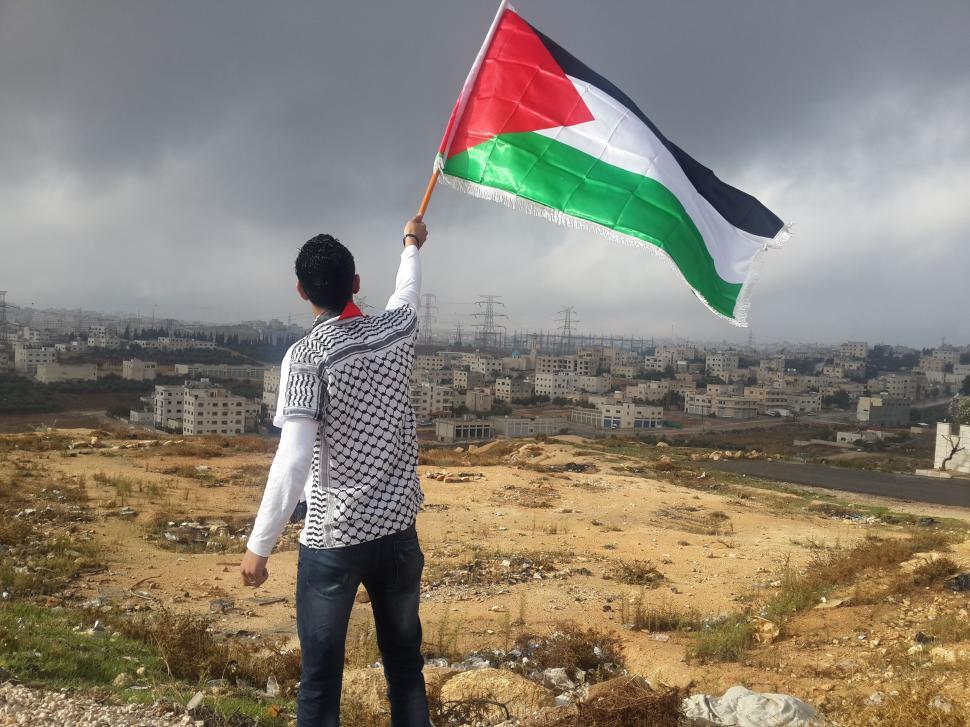 Free Image of Man Holding Flag on Top of Hill 