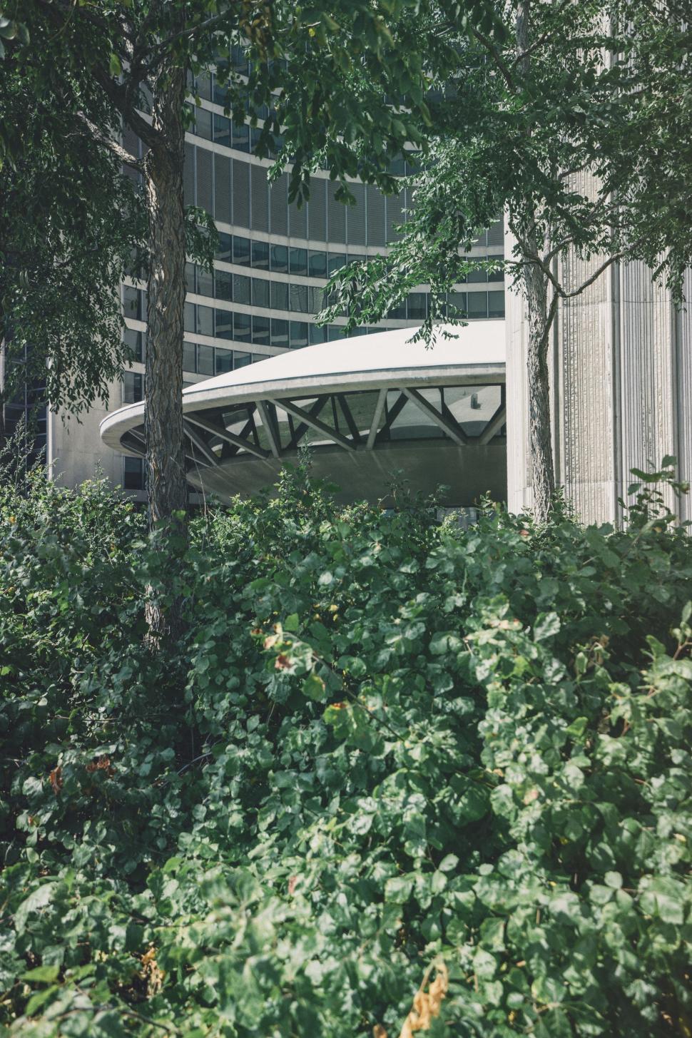 Free Image of Building Next to Trees 