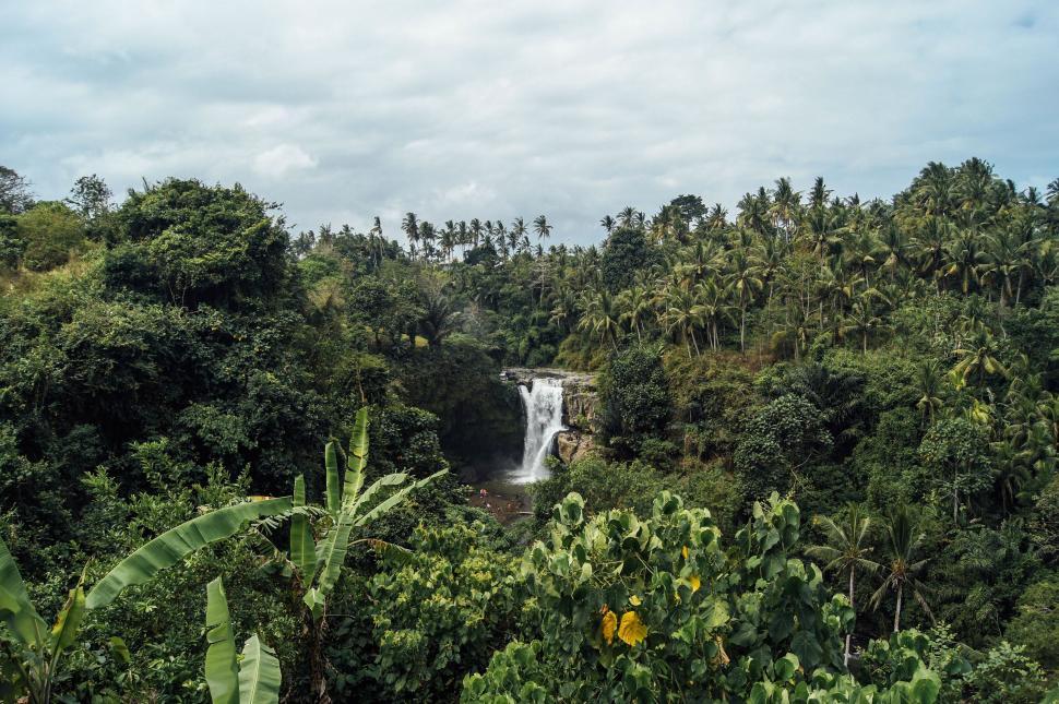 Free Image of Majestic Waterfall in Lush Forest 