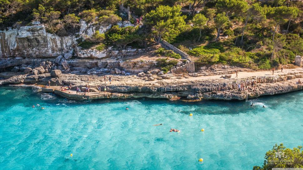 Free Image of Aerial View of Beach With People Swimming 